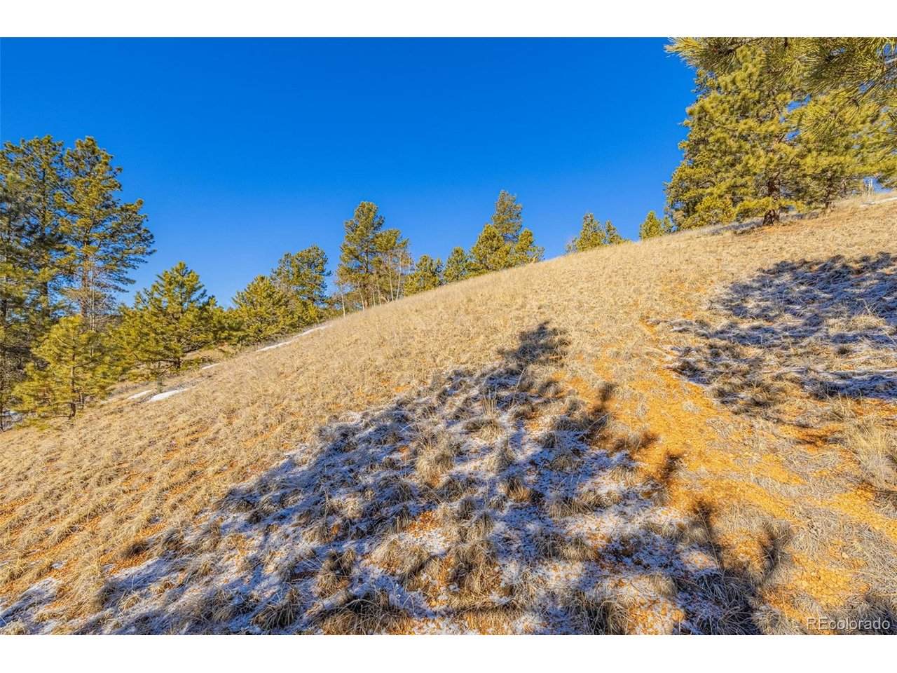 772 Bison Creek Trl - Photo 1
