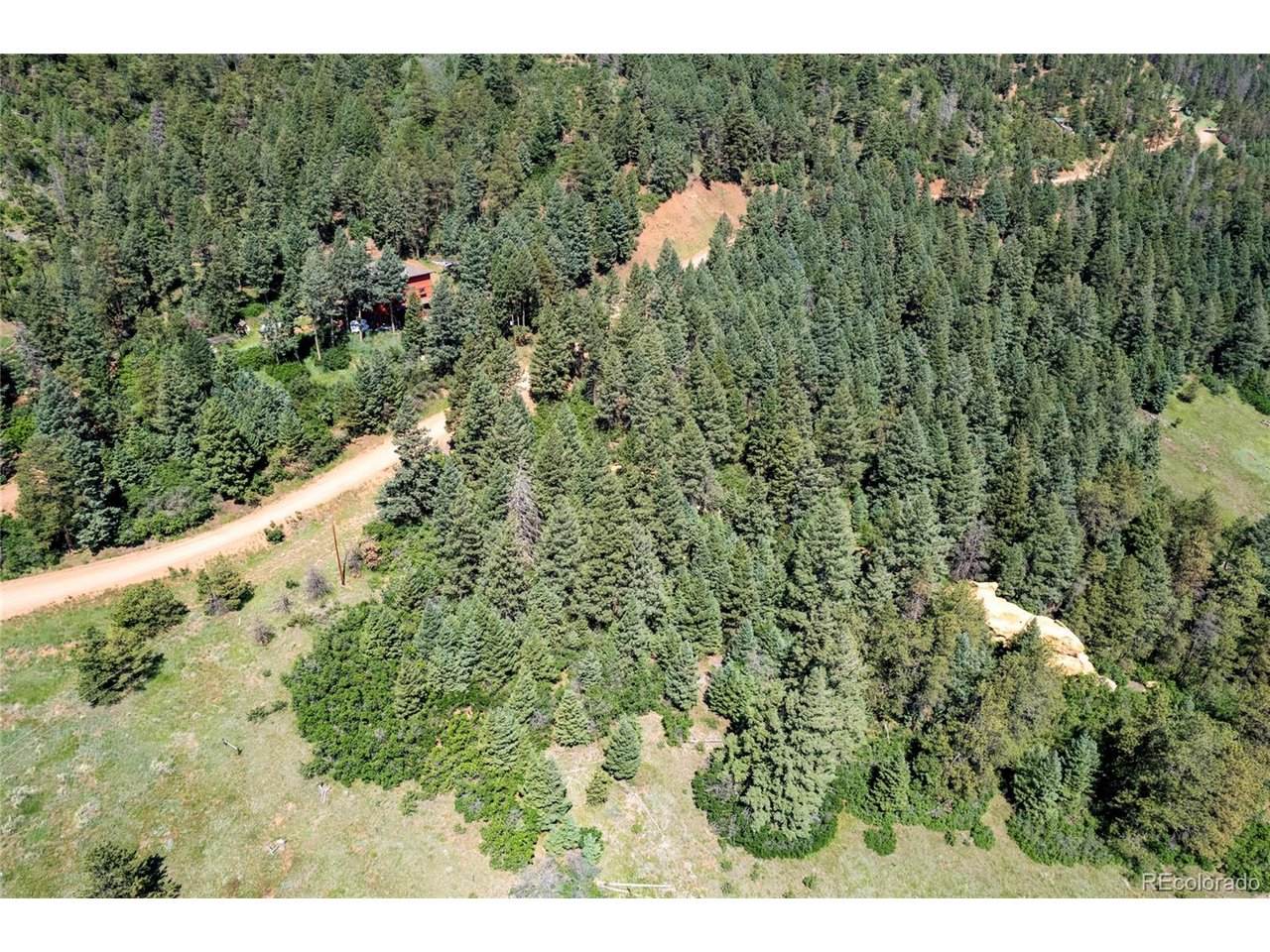 13665 Woodmoor West Dr - Photo 1