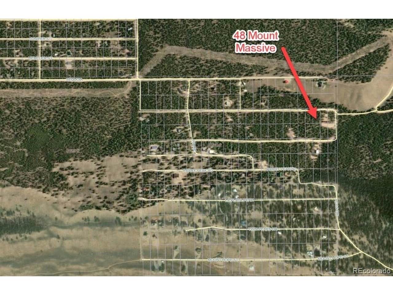 48 Mount Massive Rd - Photo 1