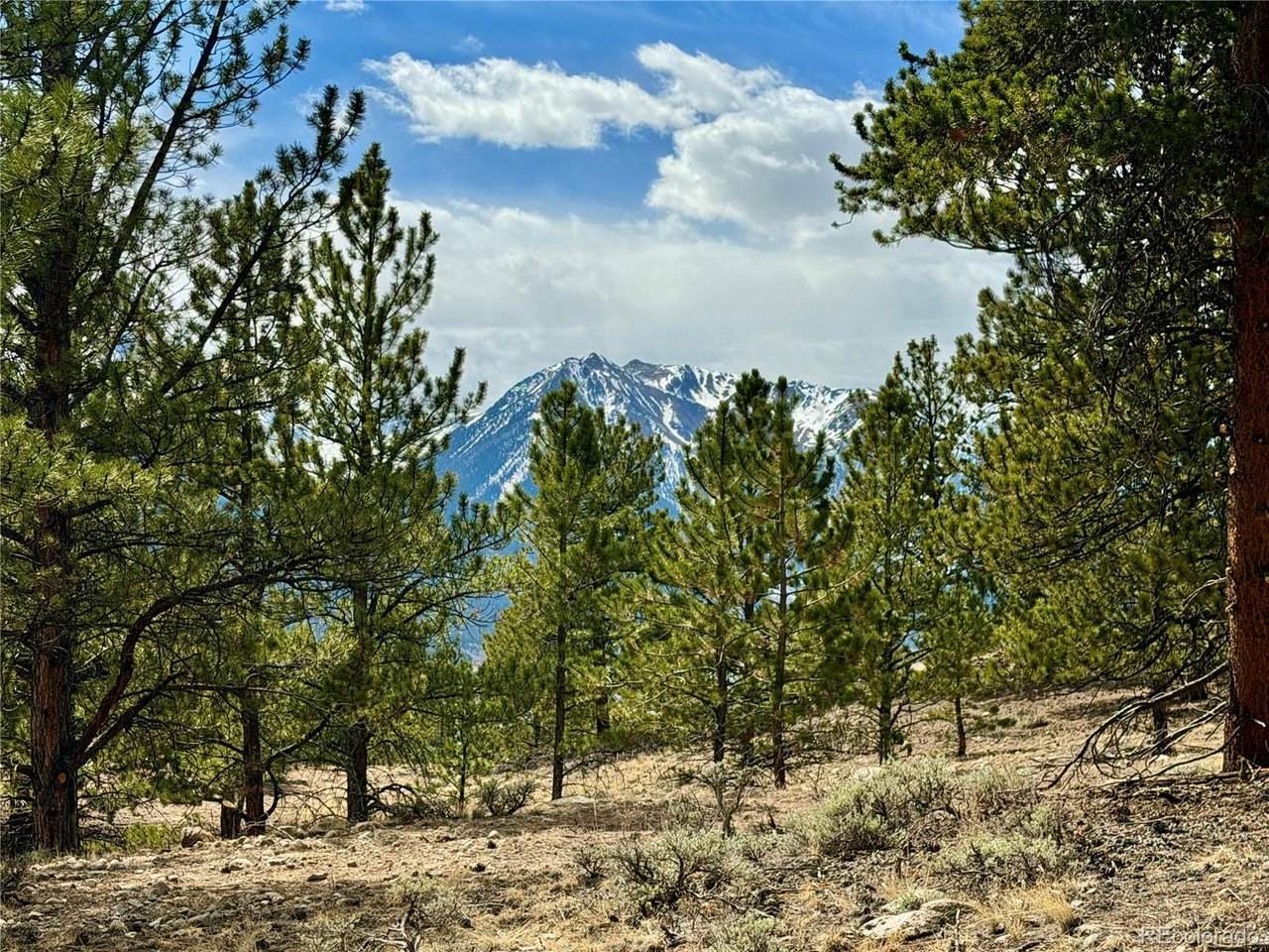 142 La Plata Peak Dr - Photo 1
