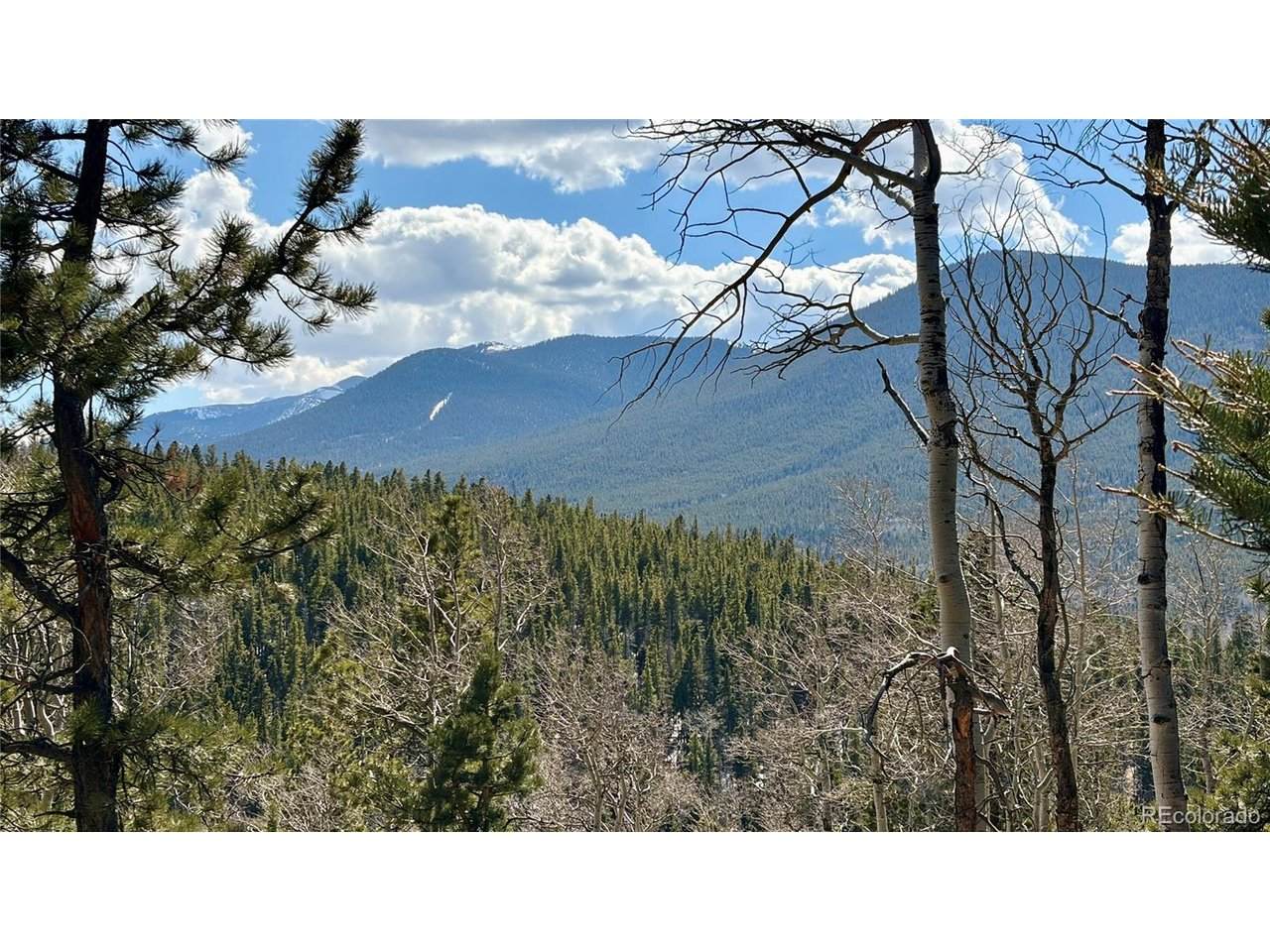 2796 Moir Dr - Photo 1