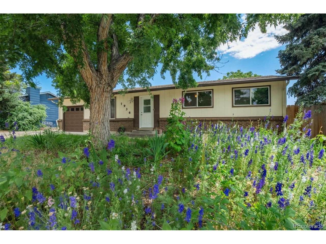 7936 Eaton St - Photo 1