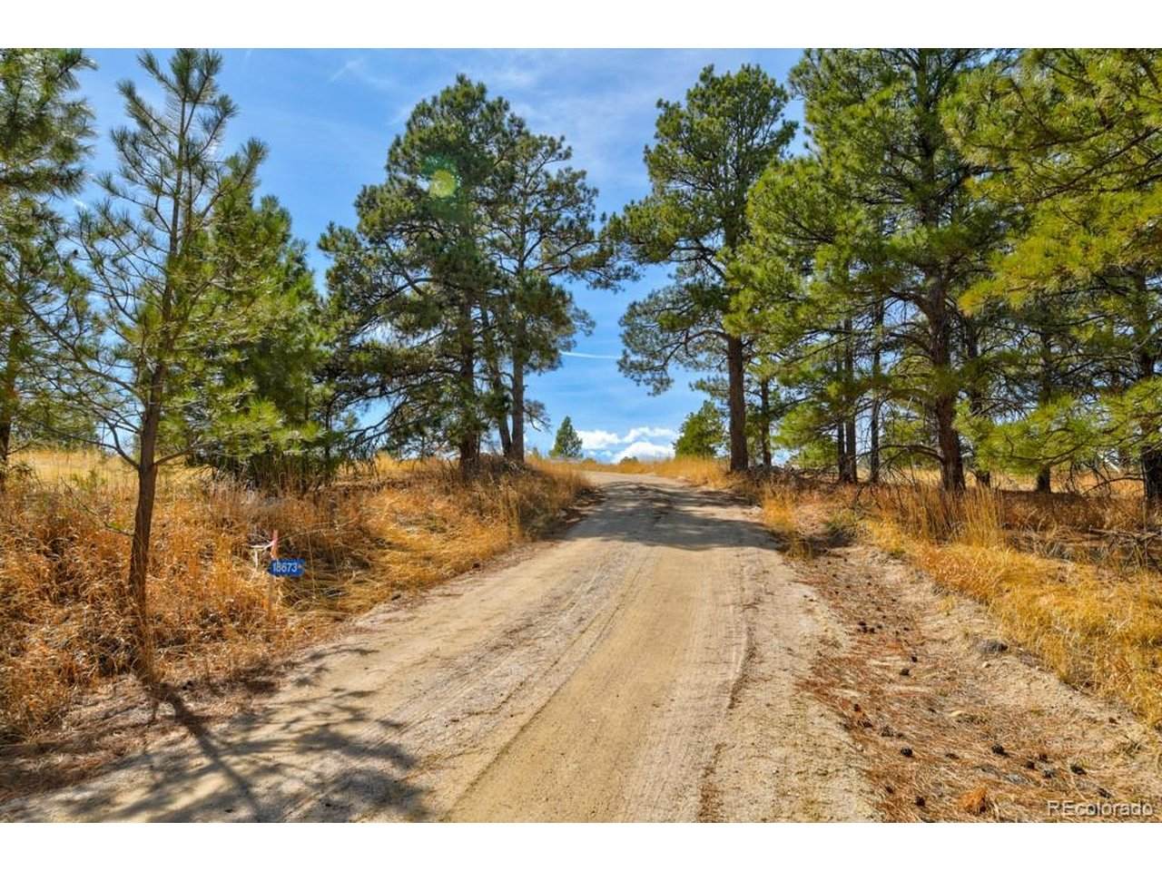 18673 Elbert Rd - Photo 1