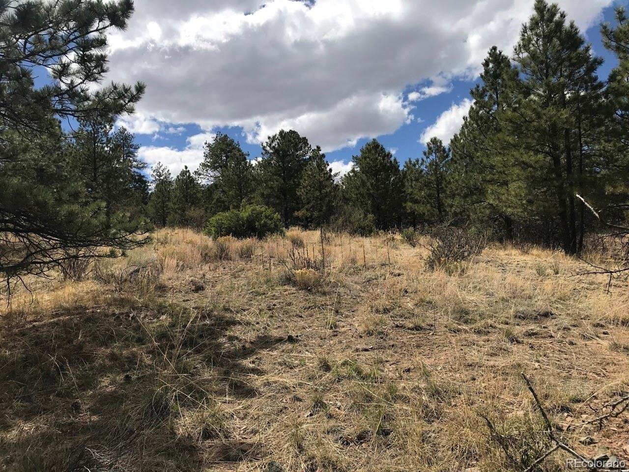 2871 Marcey Rd - Photo 1