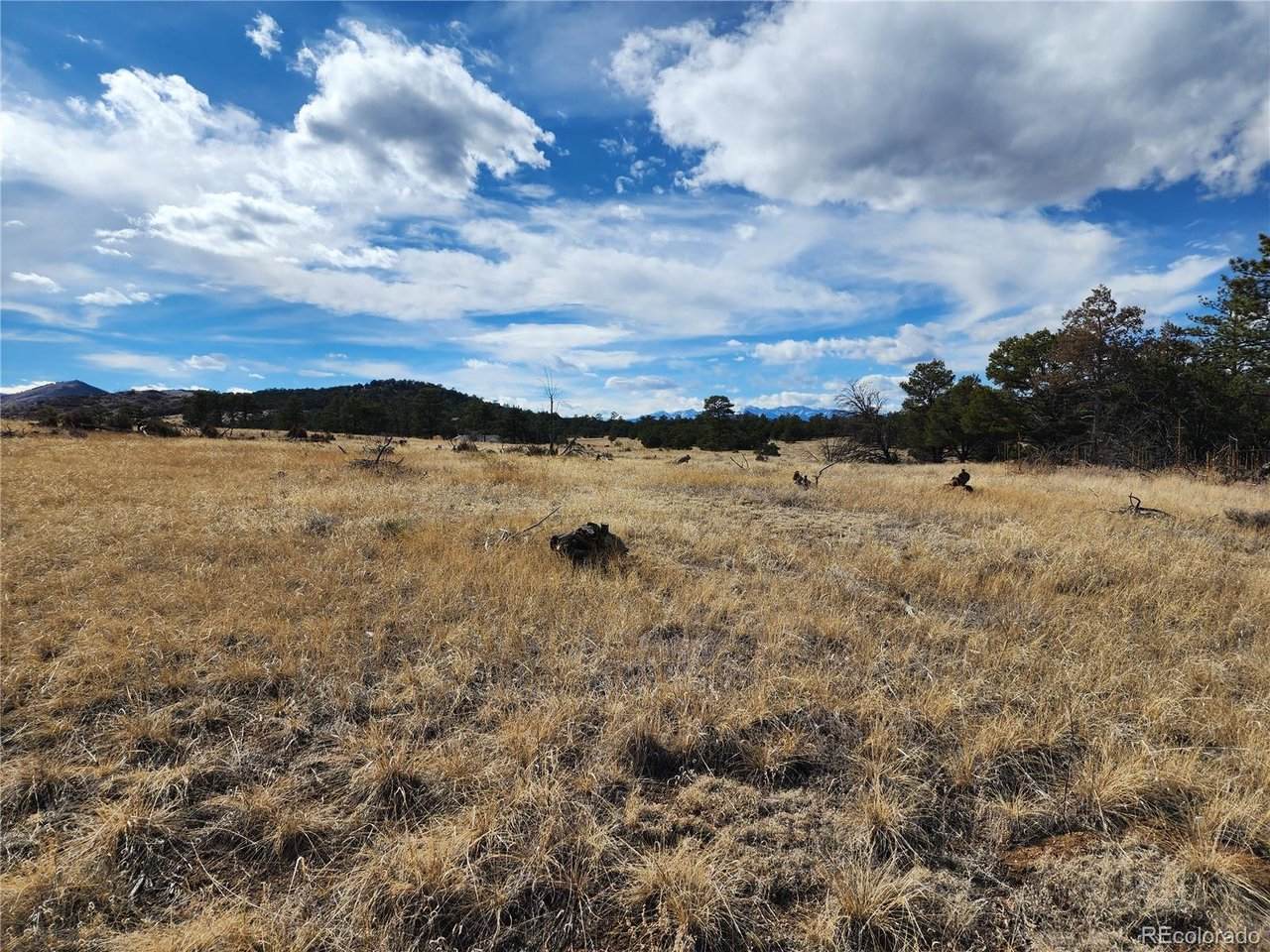  Pinon - Photo 1