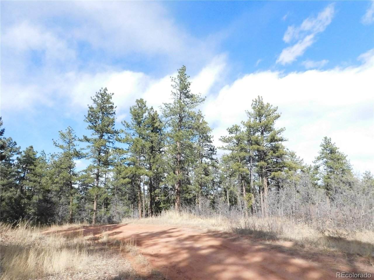 8122 Acoma Dr - Photo 1