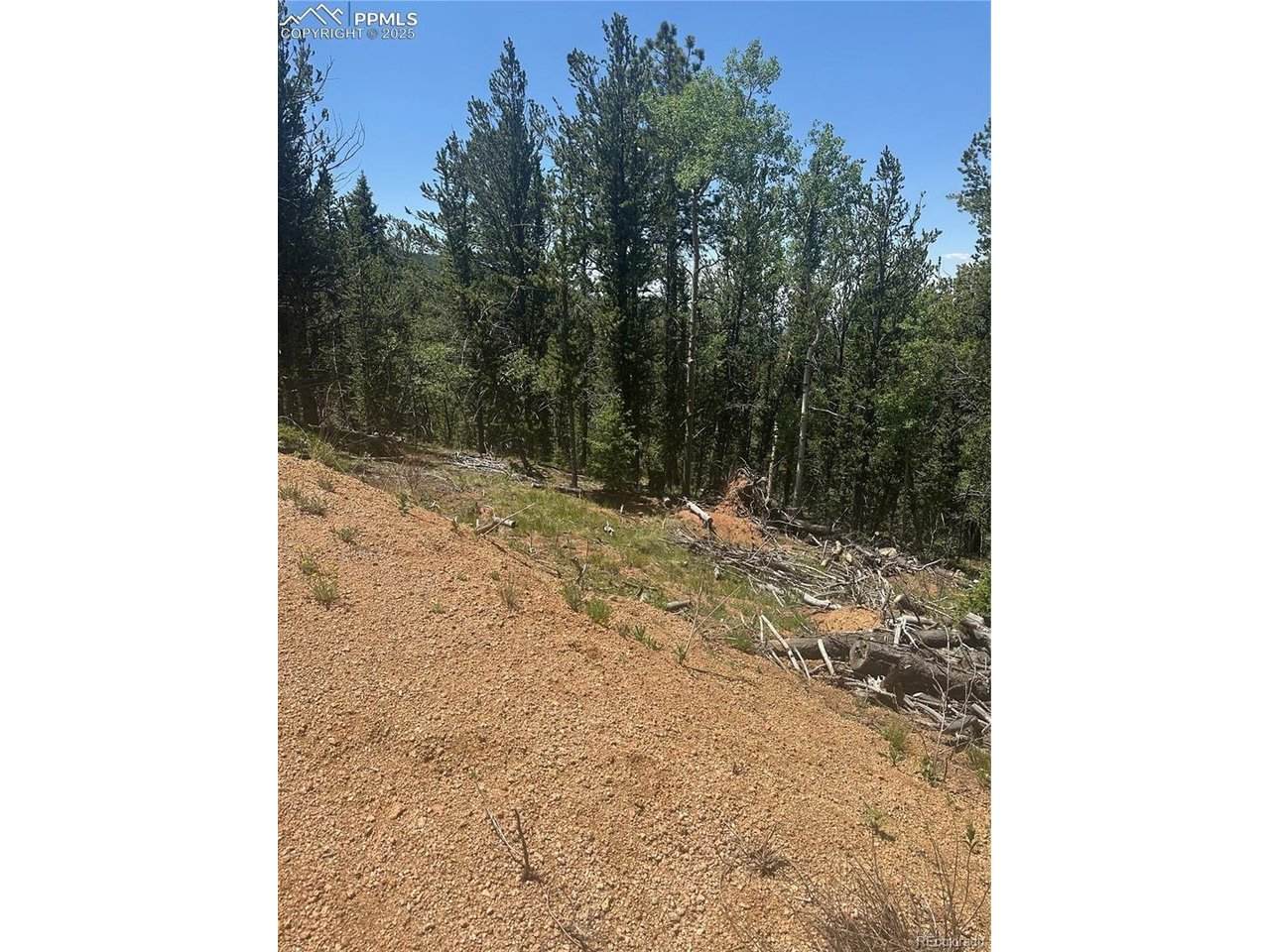 110 Brown Bear Ln - Photo 1
