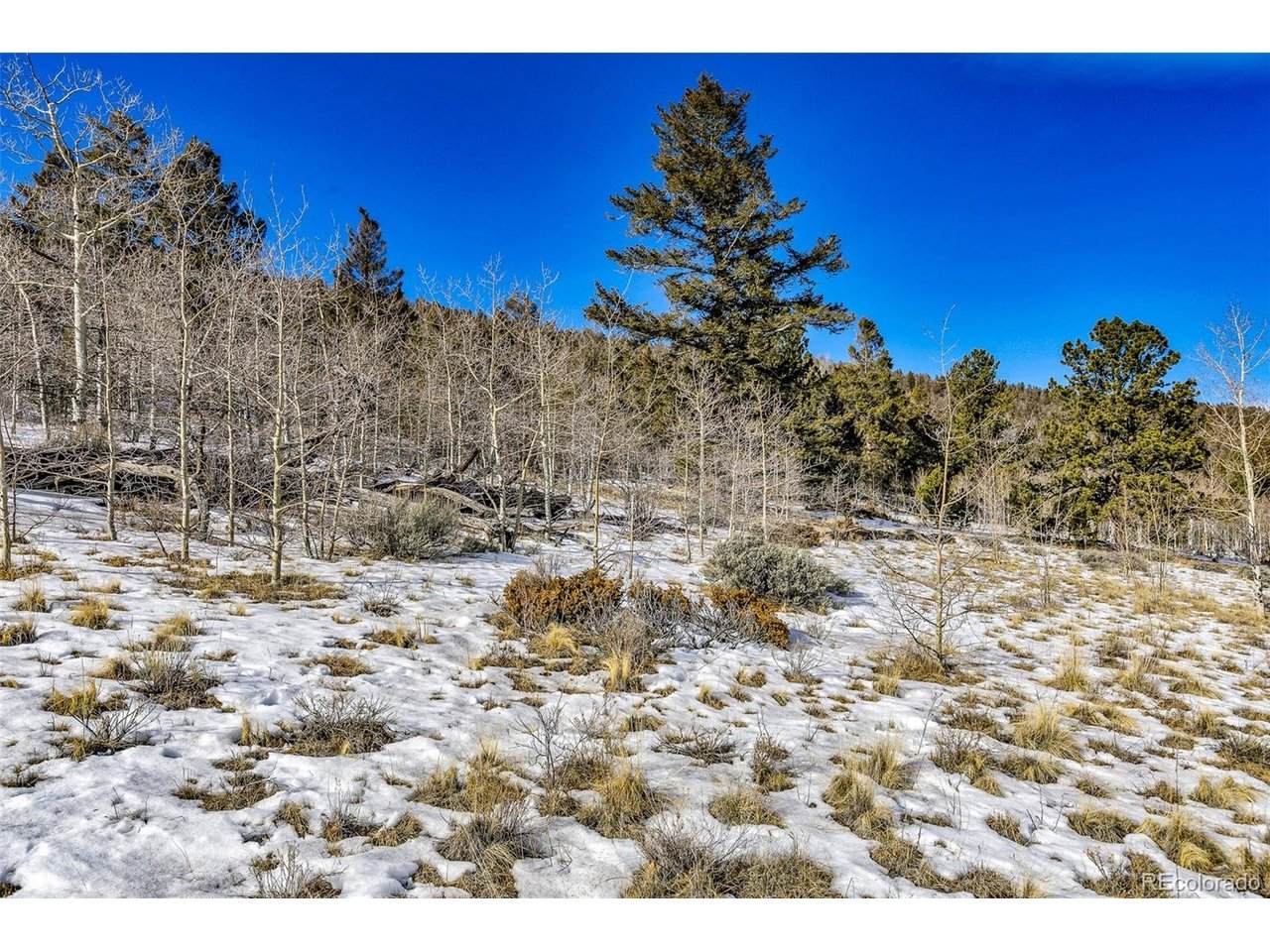 2996 Redhill Rd - Photo 1