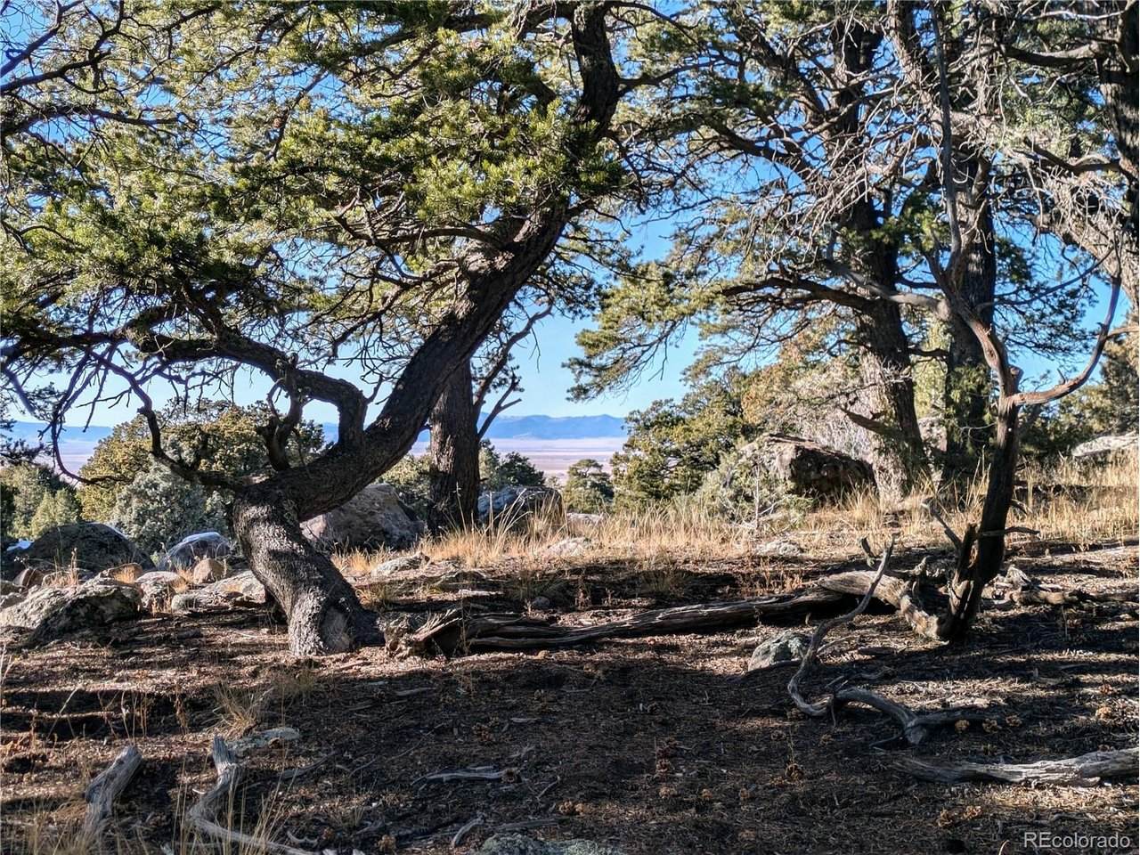 1284 Echo Pt - Photo 1