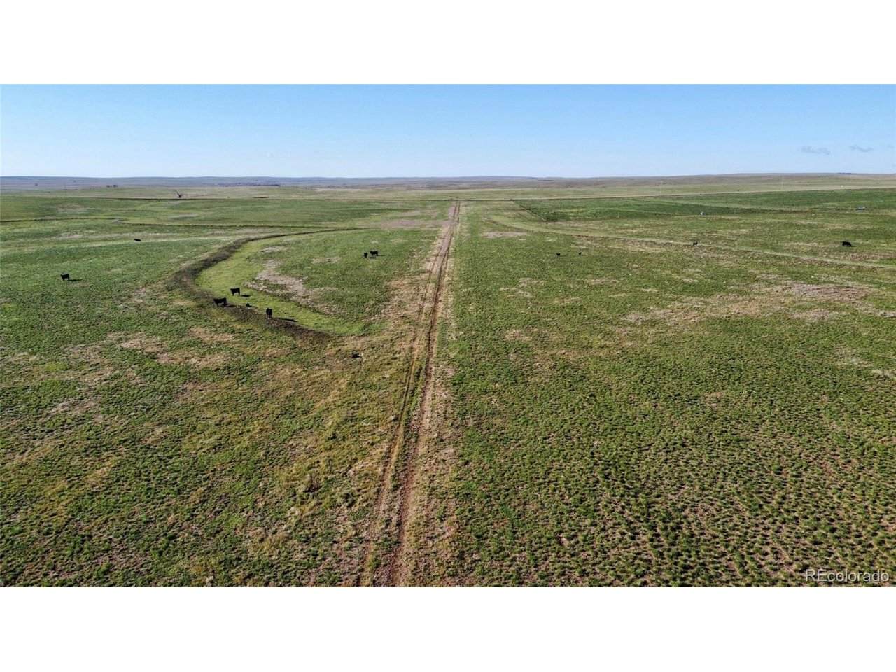  County Rd 166 - Photo 1