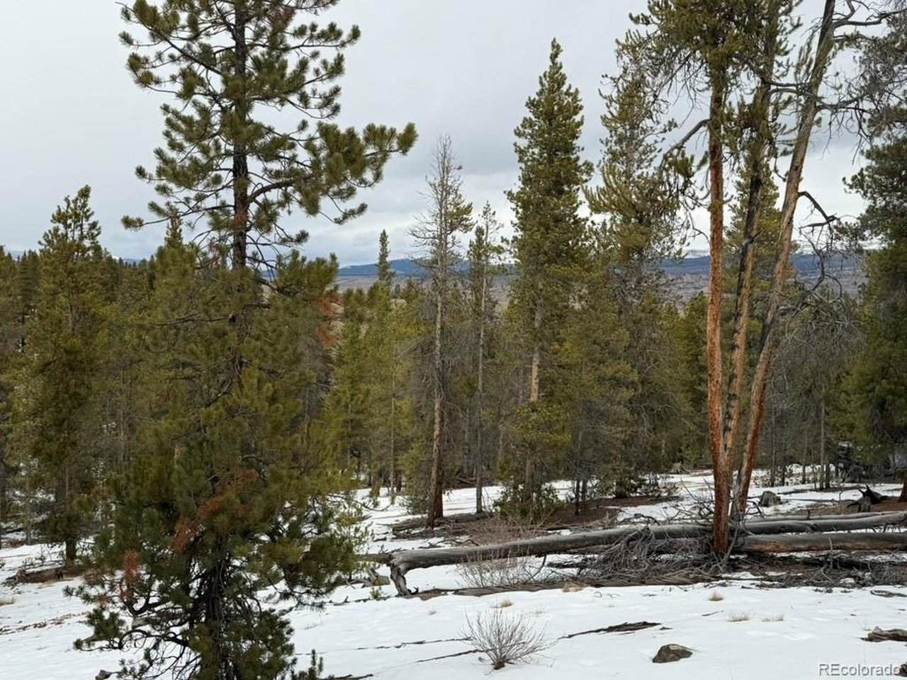 124 Lodgepole Dr - Photo 1