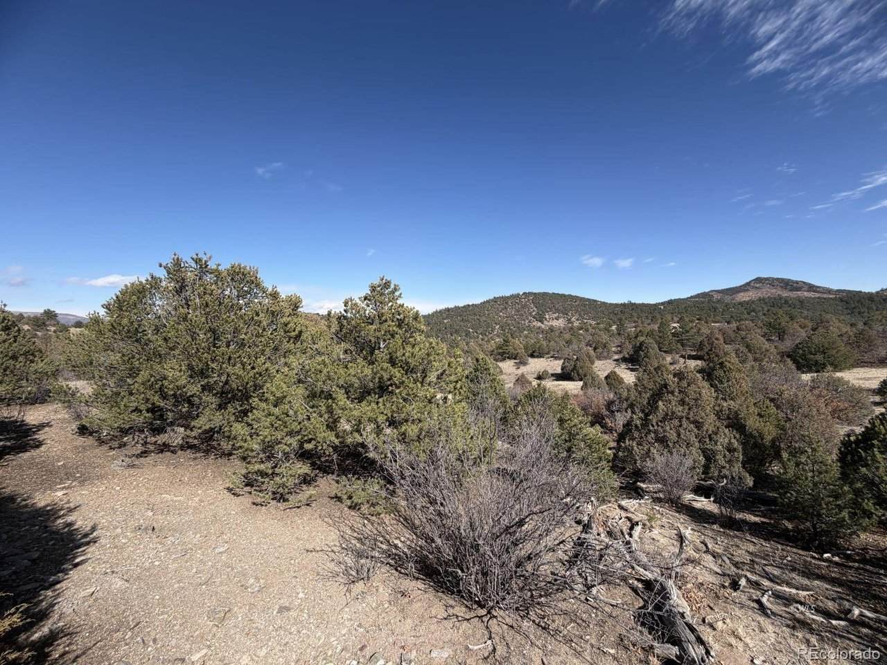91 King Pl - Photo 1