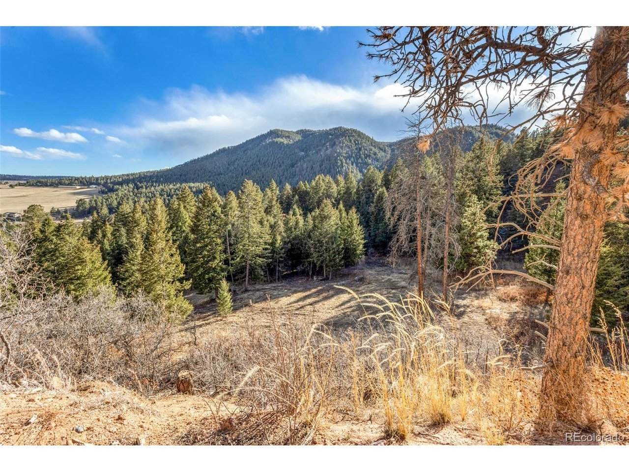  Mountain Ranch Rd - Photo 1