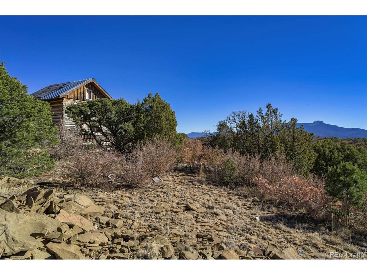 14633 Rancho Verde Rd - Photo 1