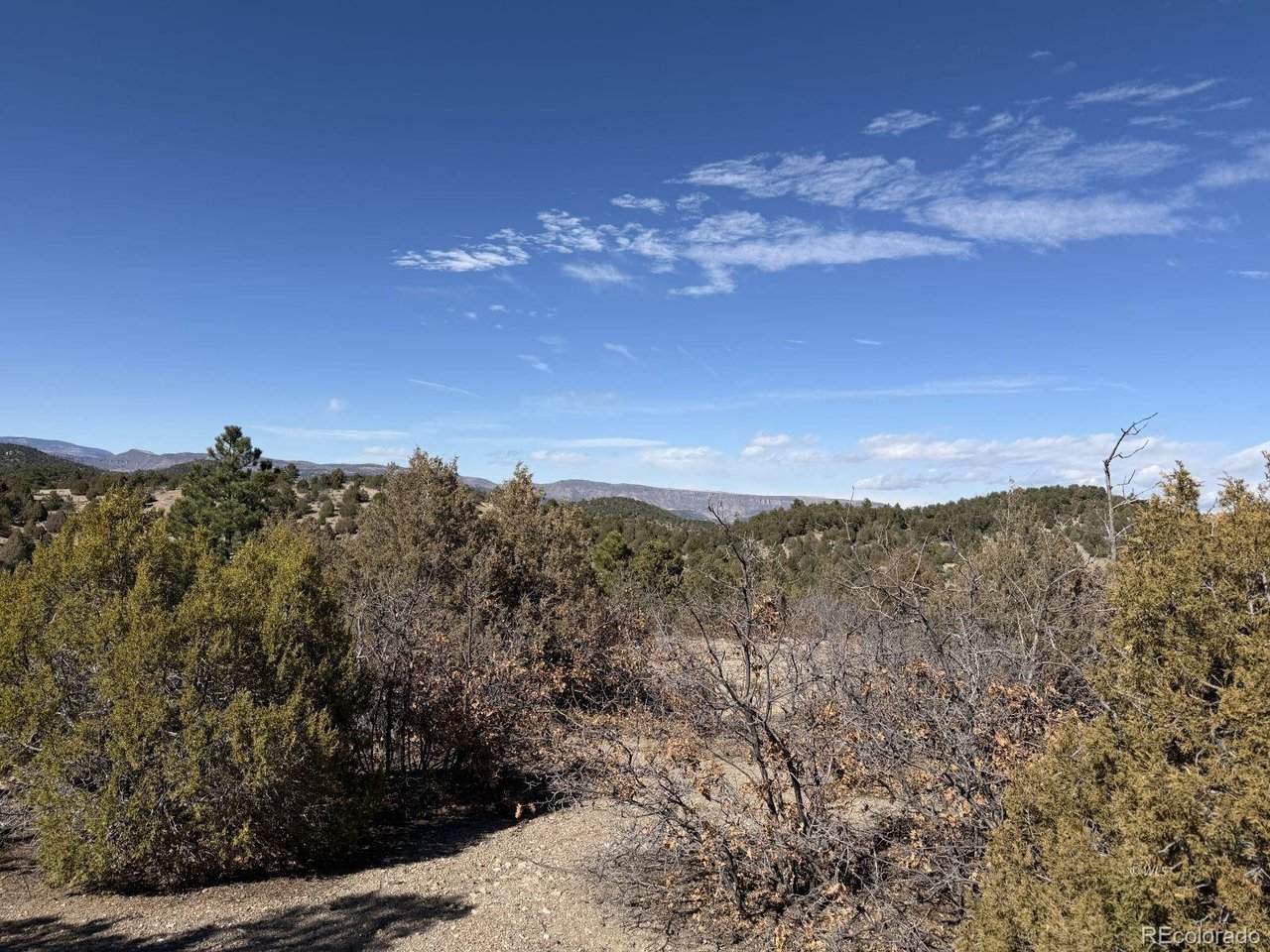 3412 Indian Wells Rd - Photo 1
