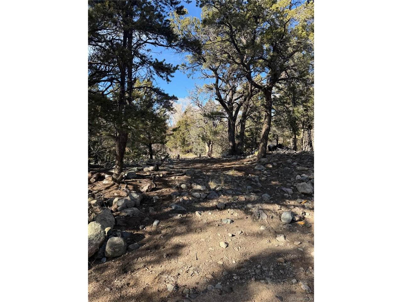 3899 Rarity Way - Photo 1