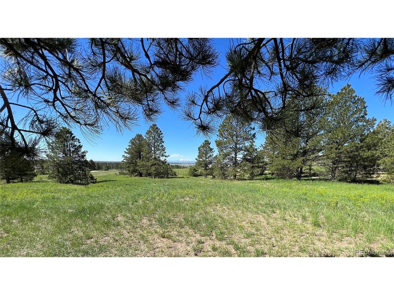 10290 Democrat Rd - Photo 1