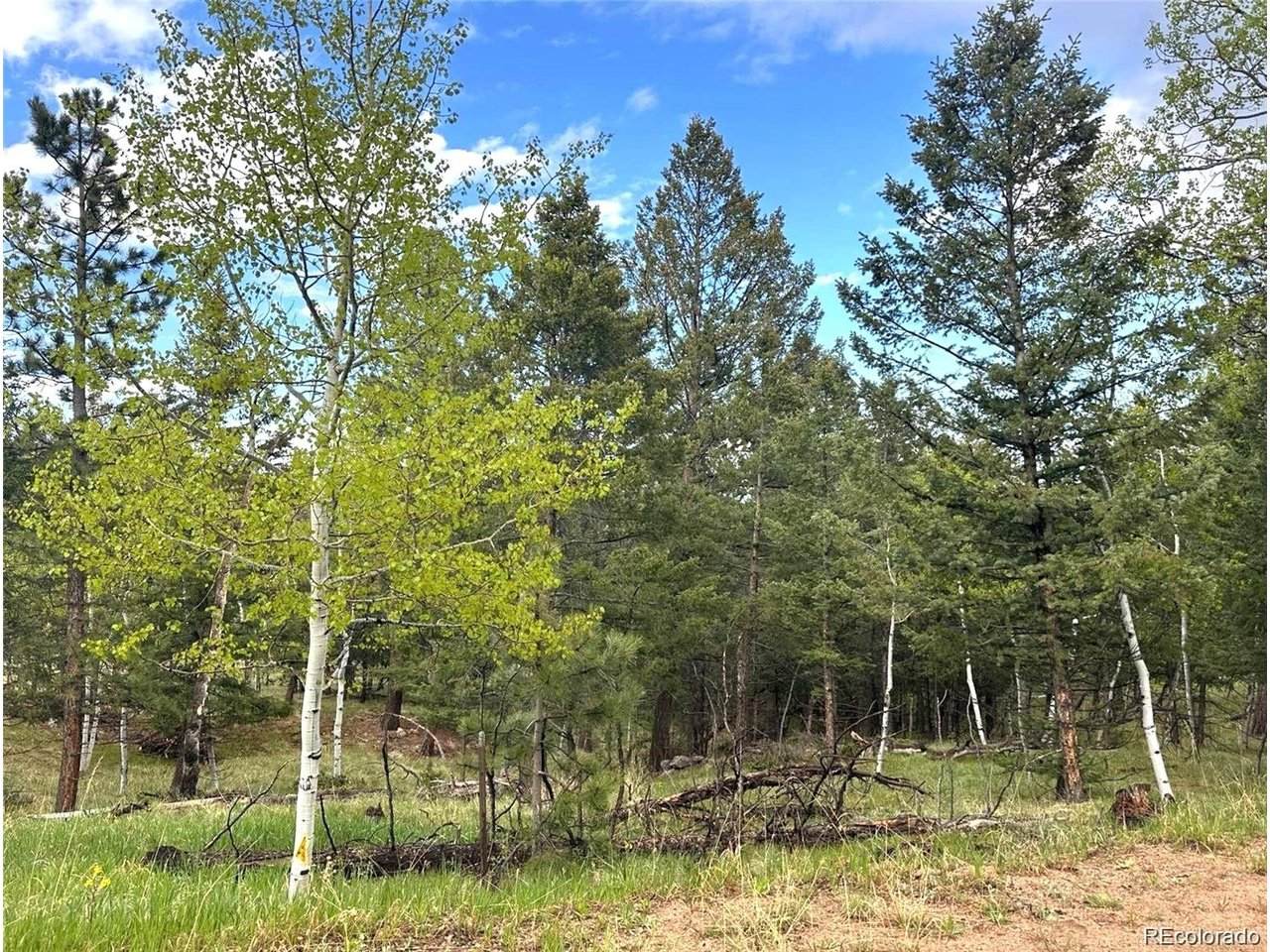 1845 Burland Dr - Photo 1