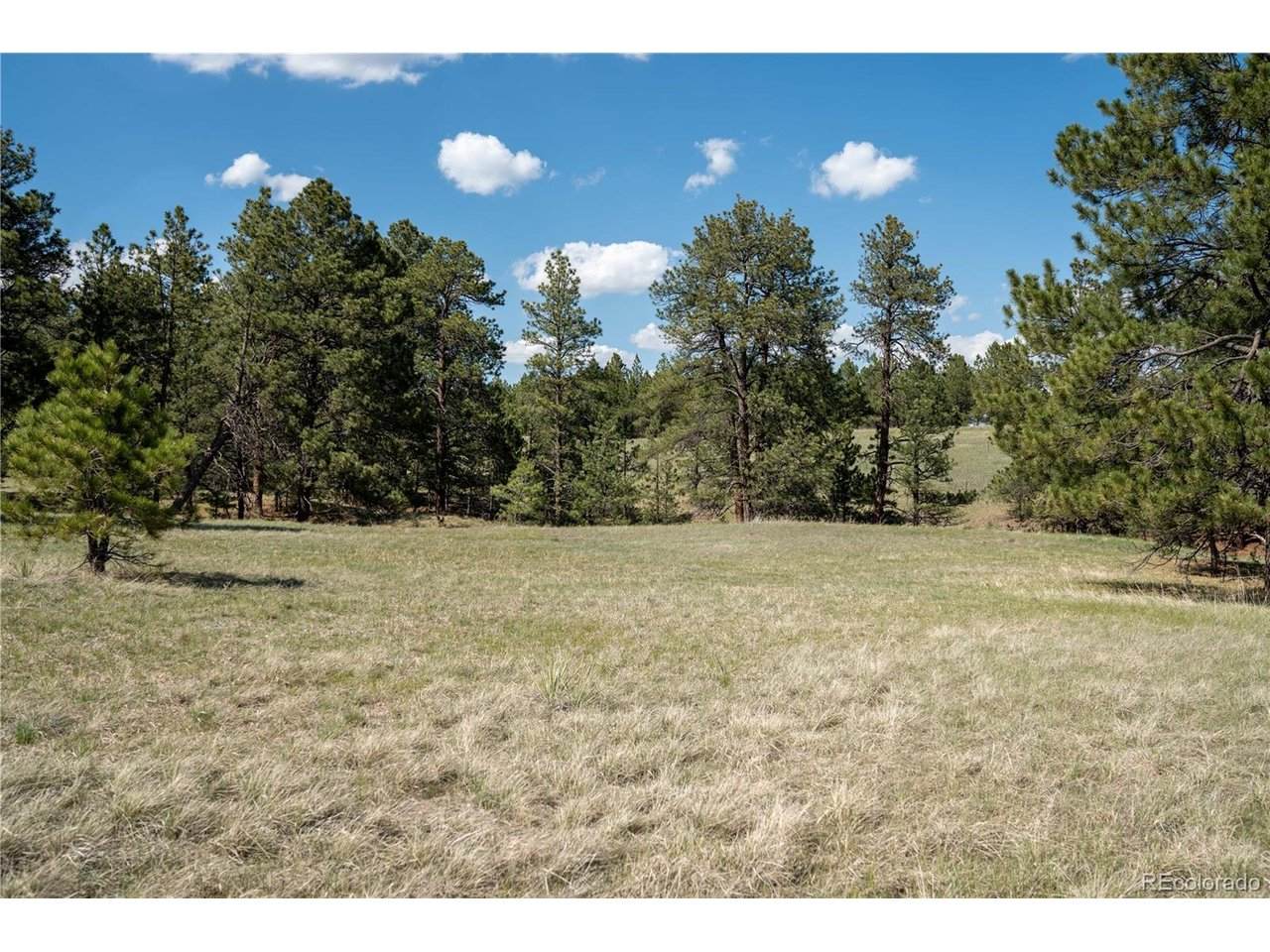 2 Paradise Cir - Photo 1