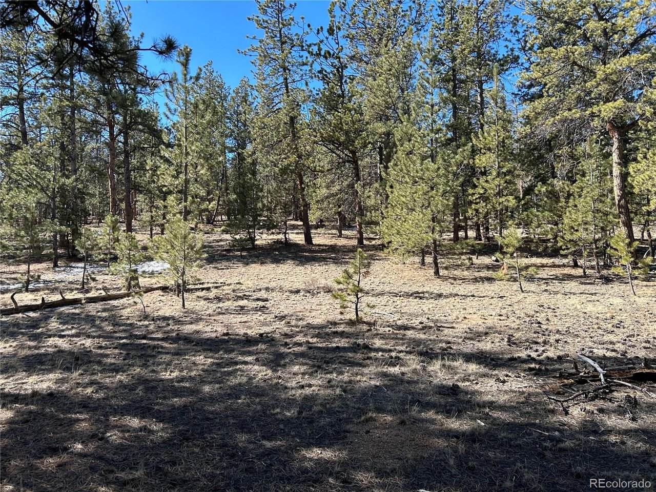 147 Haystack Rd - Photo 1