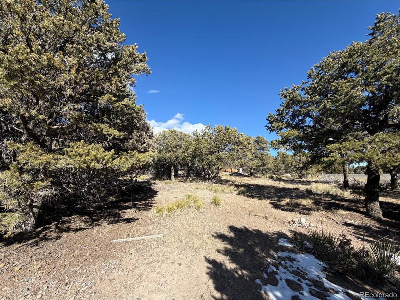 390 Cameron Pass Rd - Photo 1