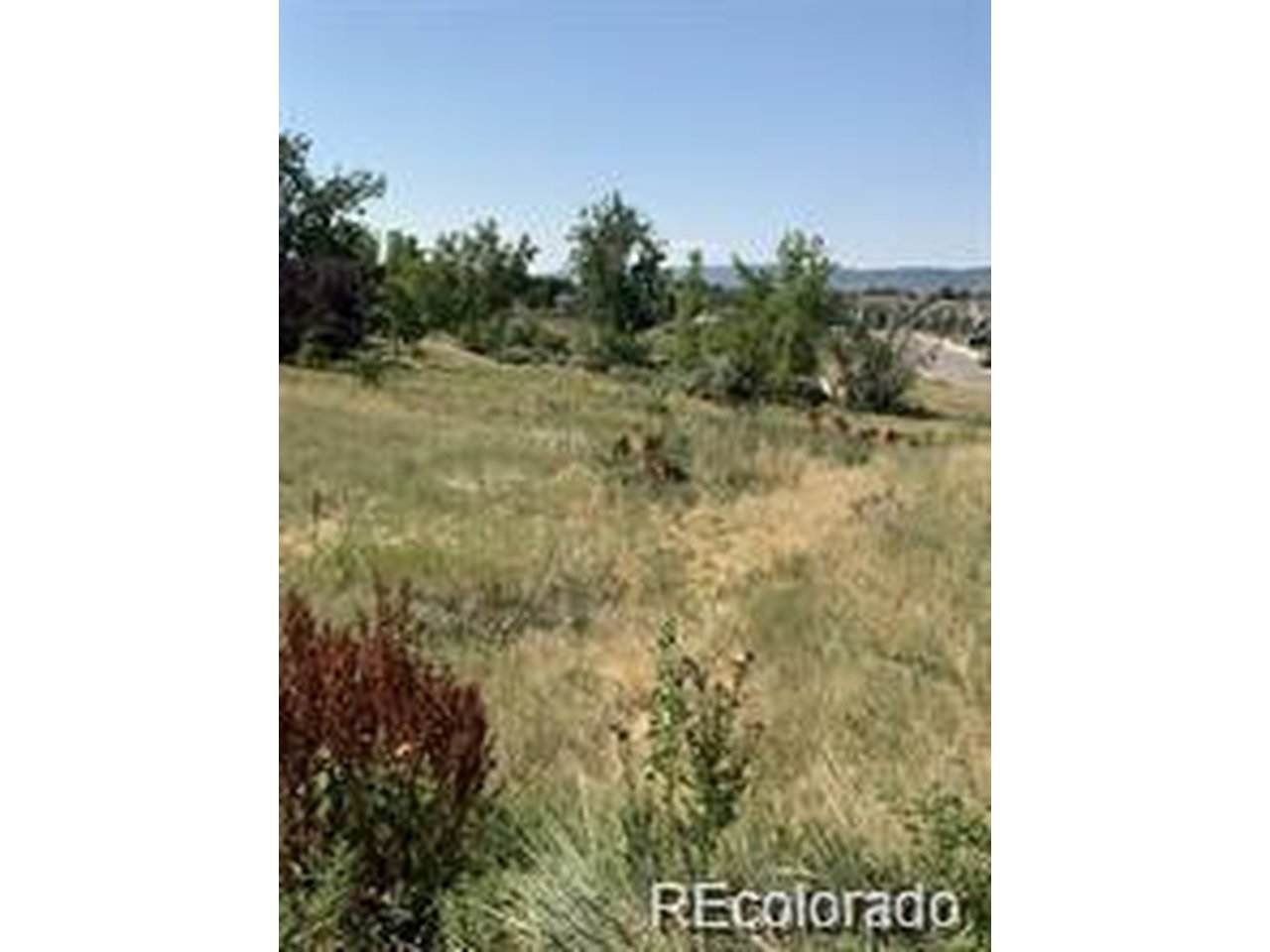 8348 Carr Way - Photo 1
