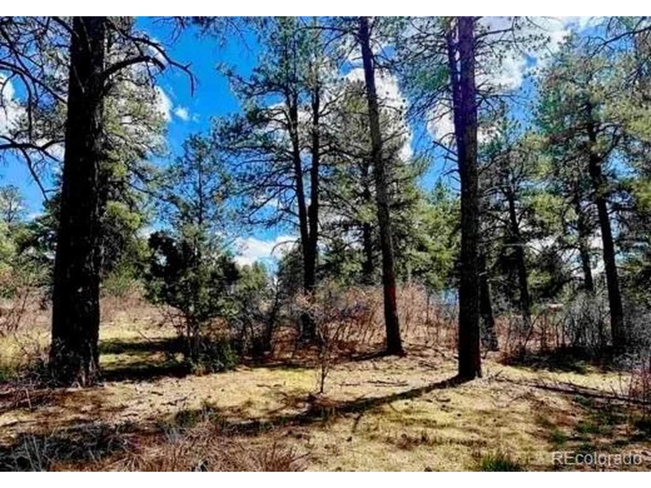 184 Aztec Dr - Photo 1