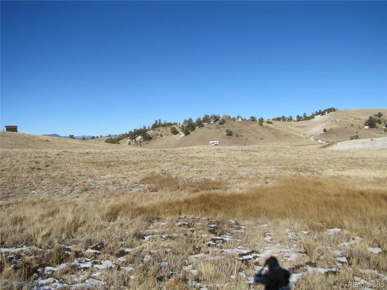 487 Falcon Rd - Photo 1