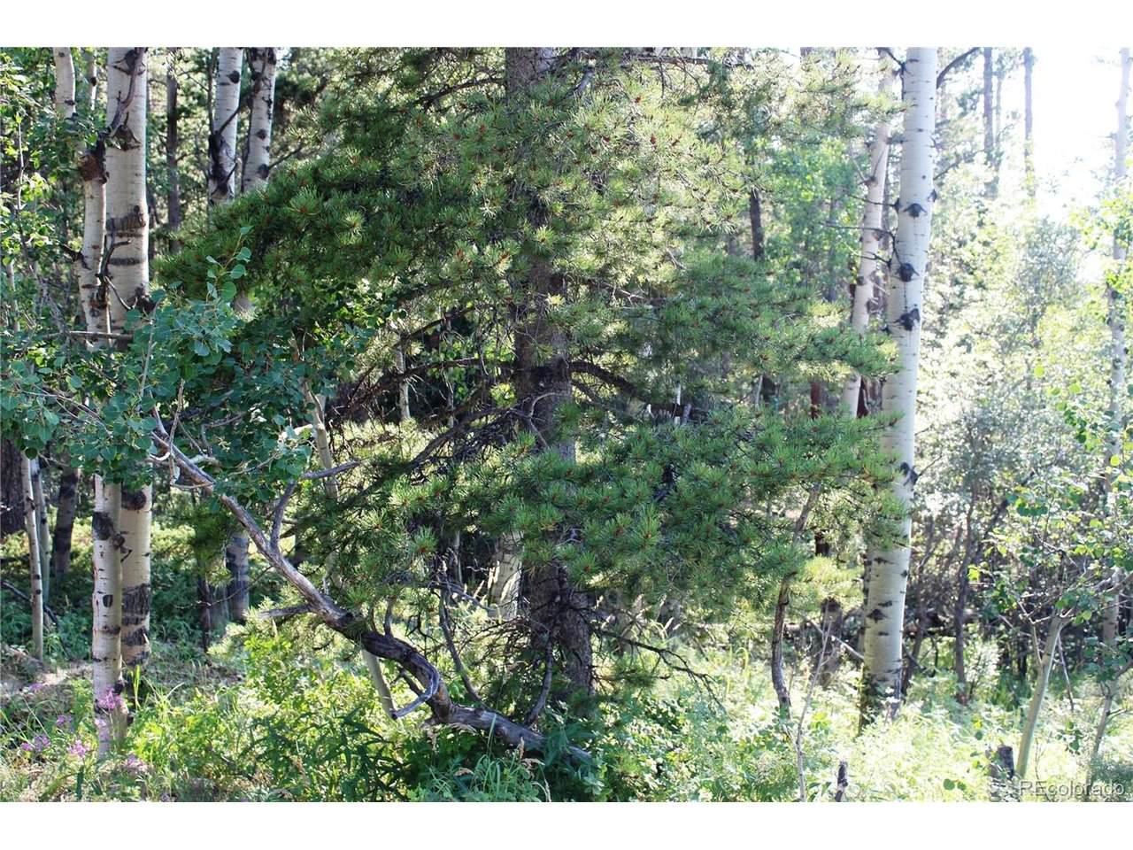 28 Sunflower Ln - Photo 1