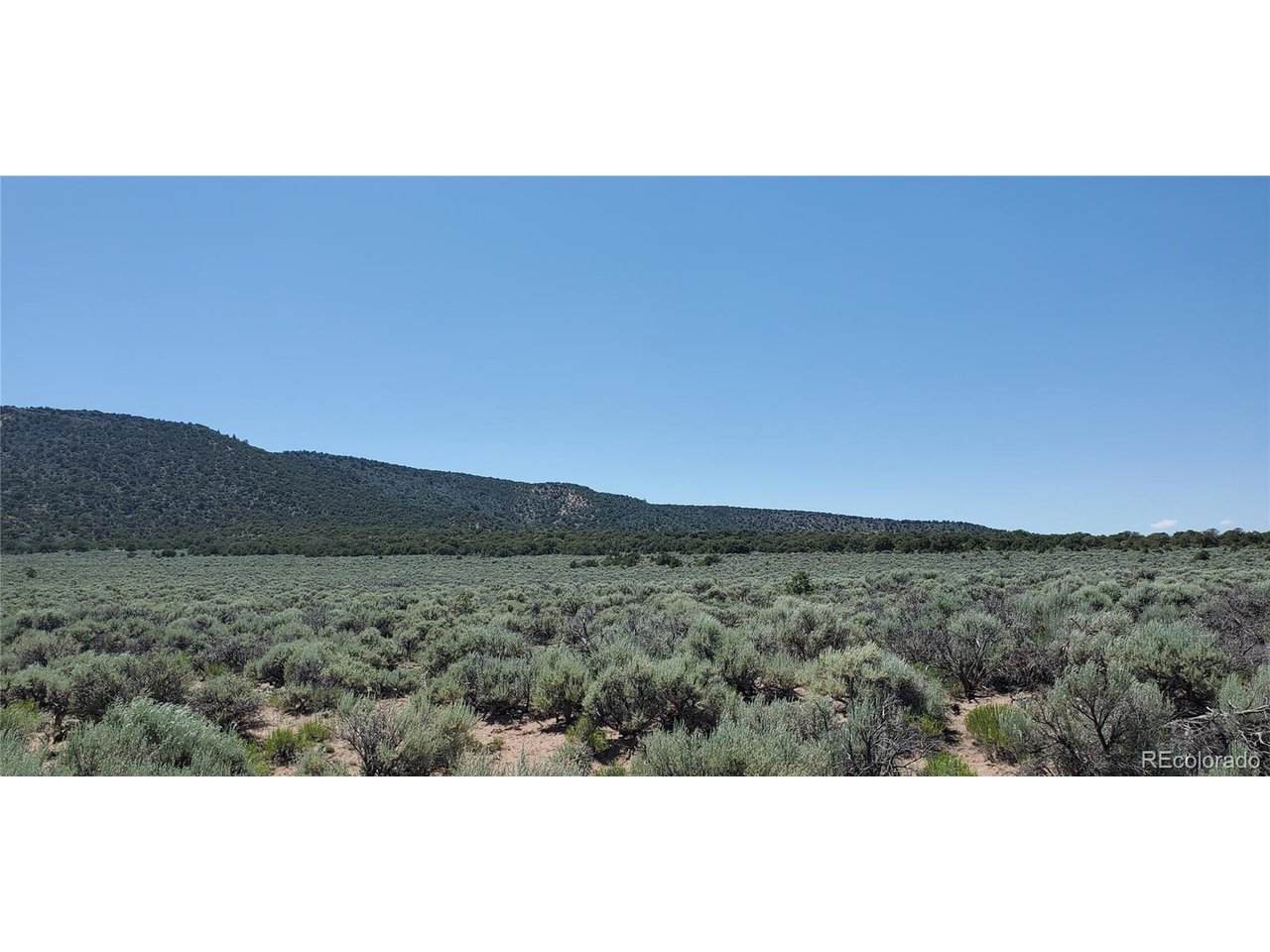 588 County Lane - Photo 1