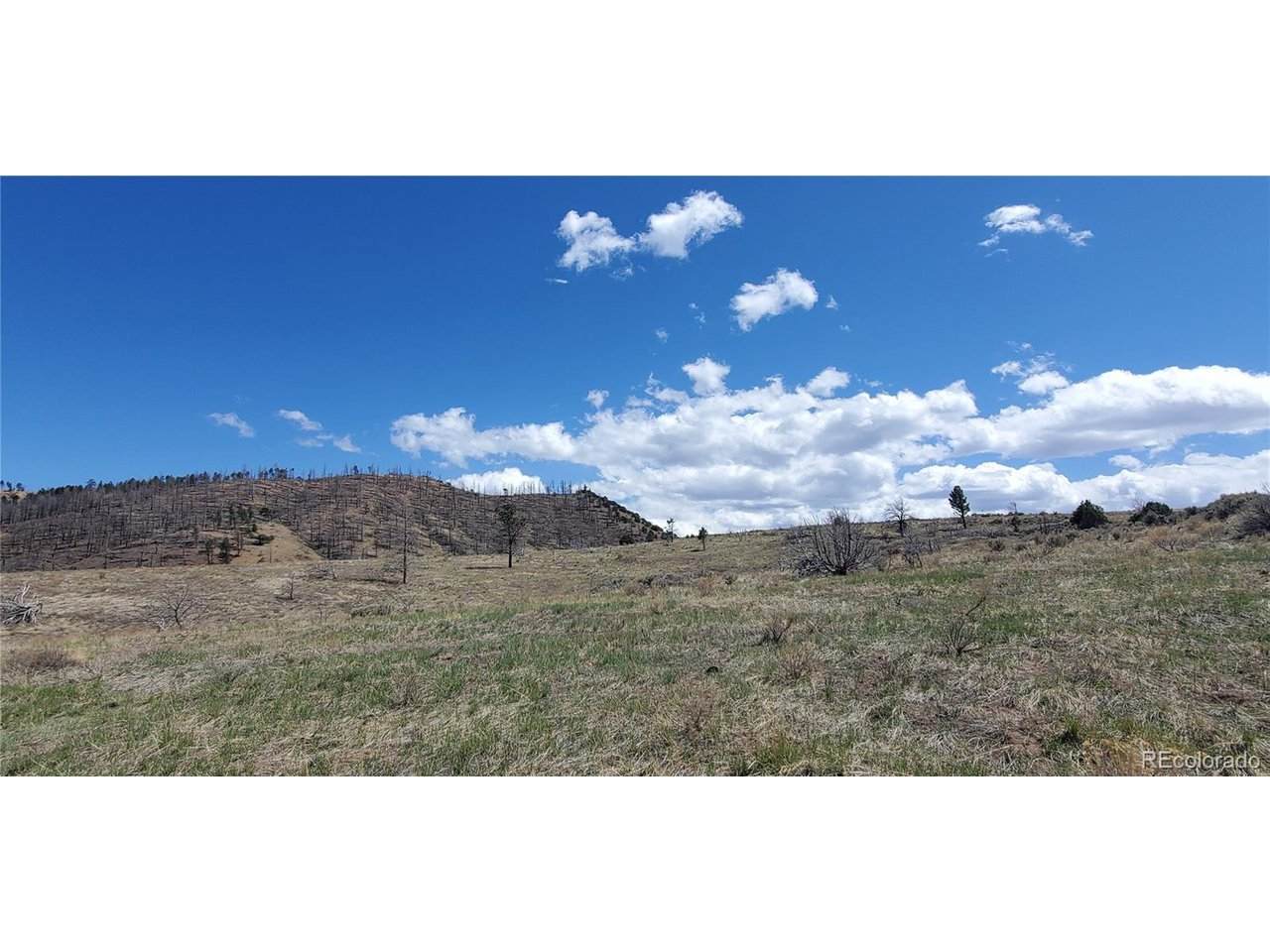 7698 Marie Rd - Photo 1