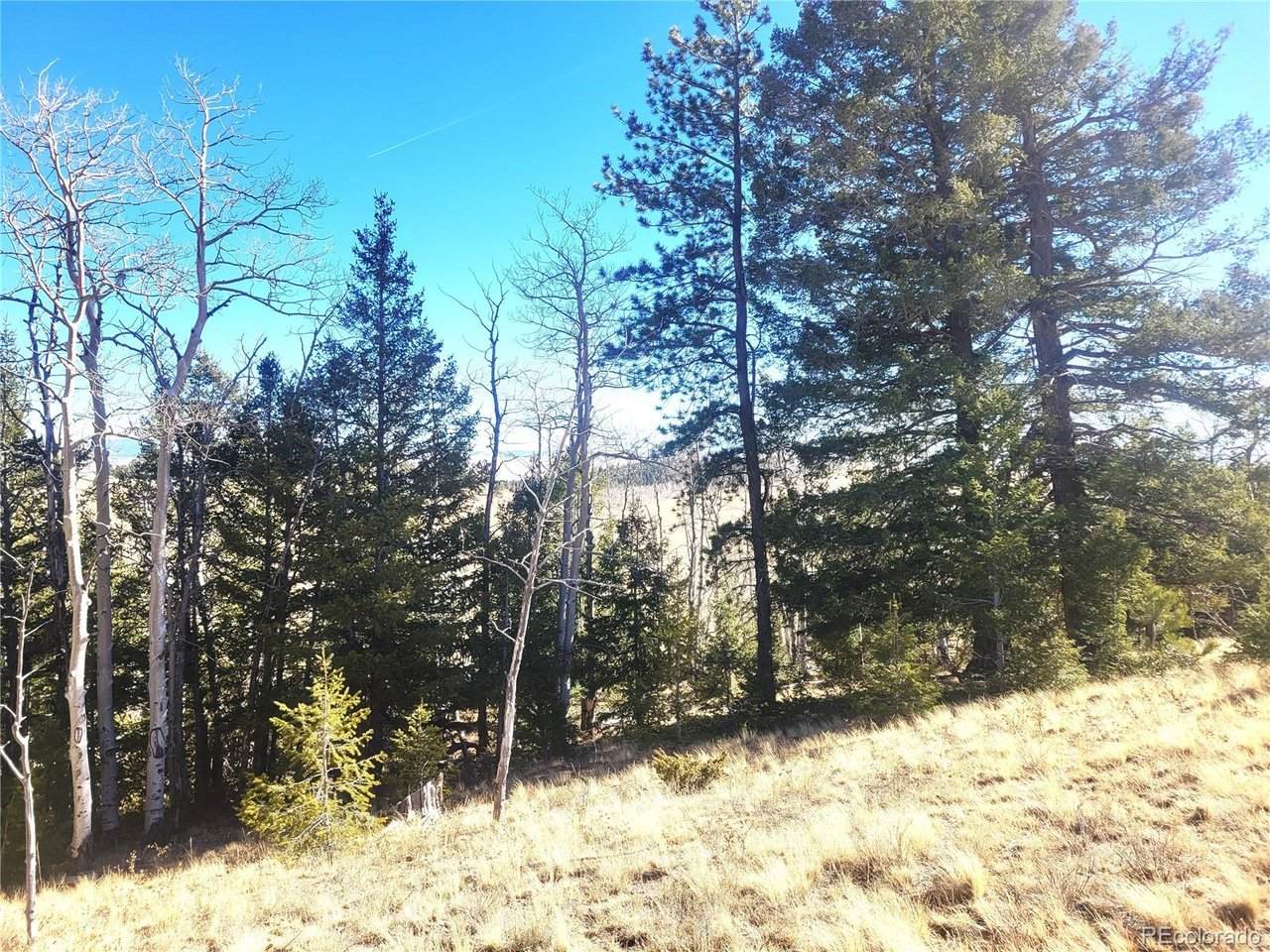 8802 Ranch Rd - Photo 1