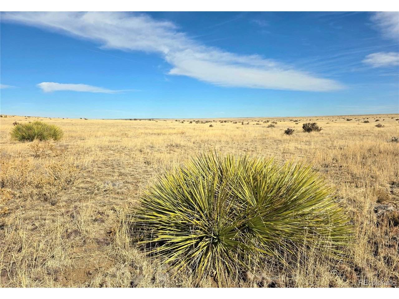  Tbd County Road 103 - Photo 1