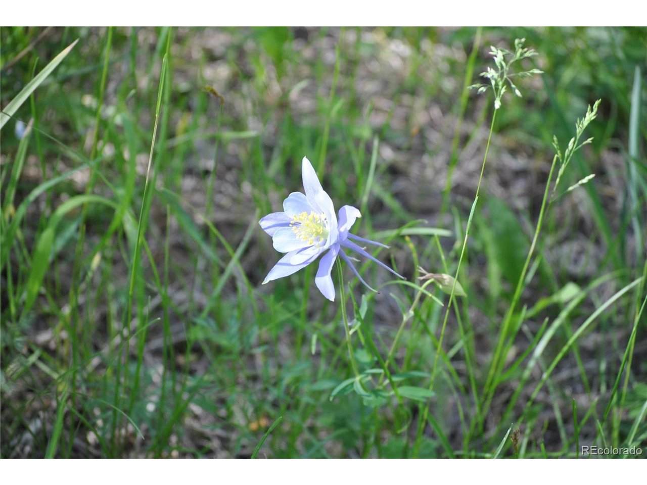 2734 Newman - Photo 1