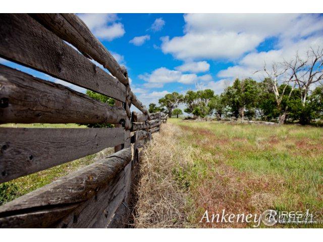 42401 County Road 66 - Photo 1