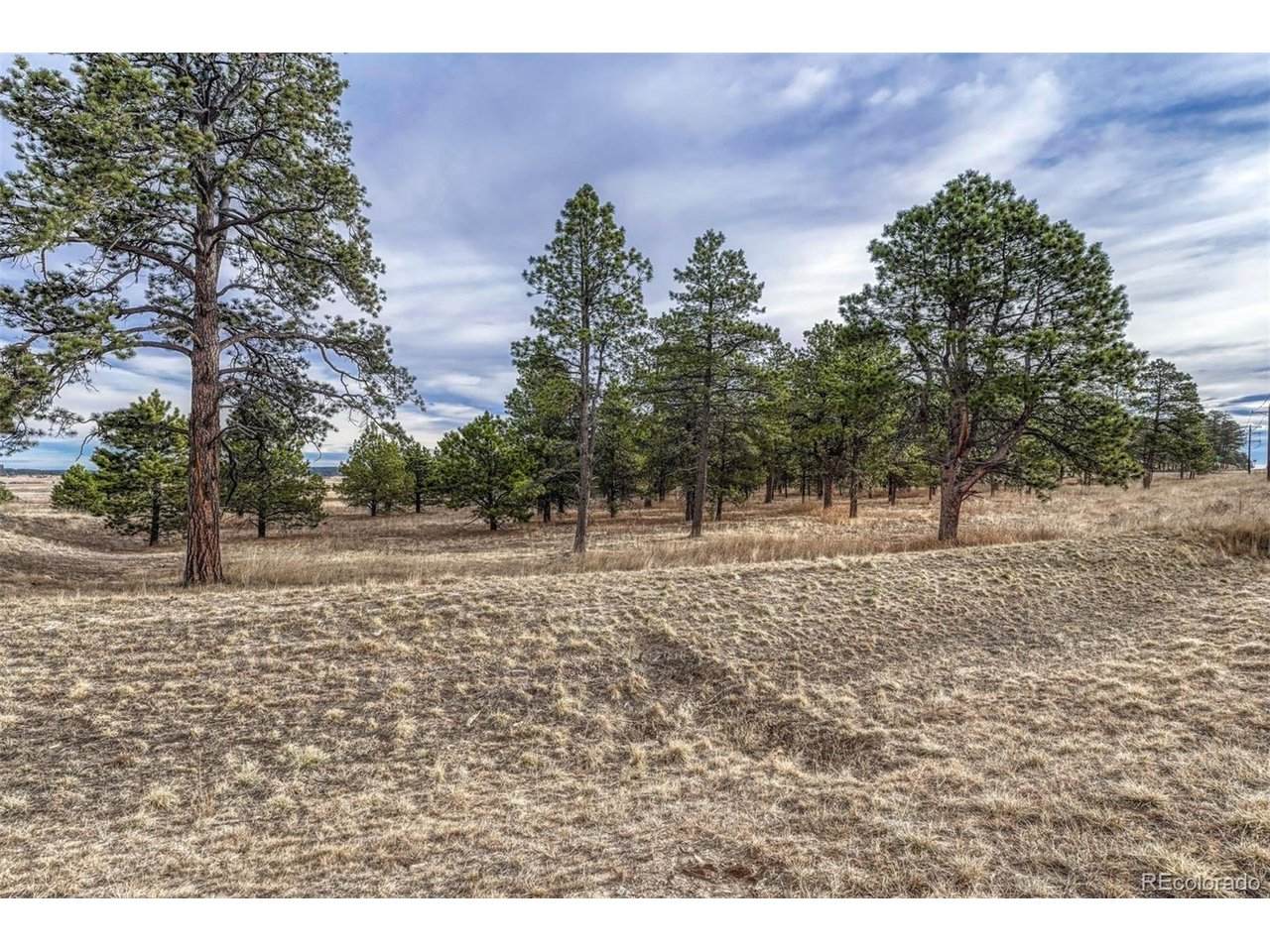 16511 Early Light Dr - Photo 1