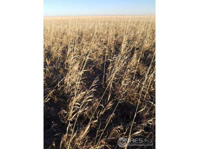 0 0 Weld County 104 - Photo 1
