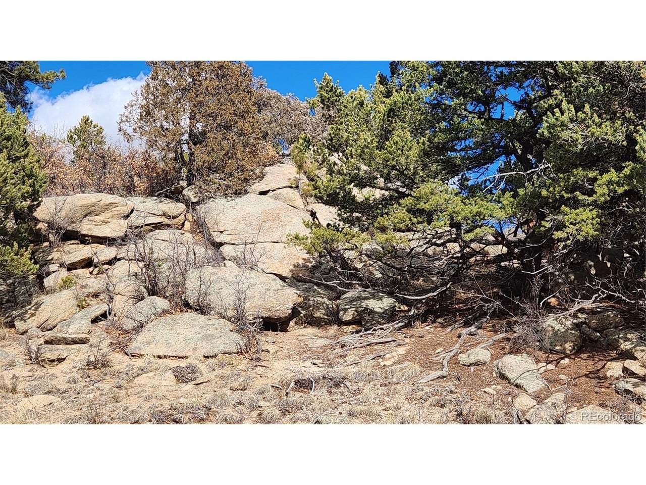 47 White Cloud Dr - Photo 1
