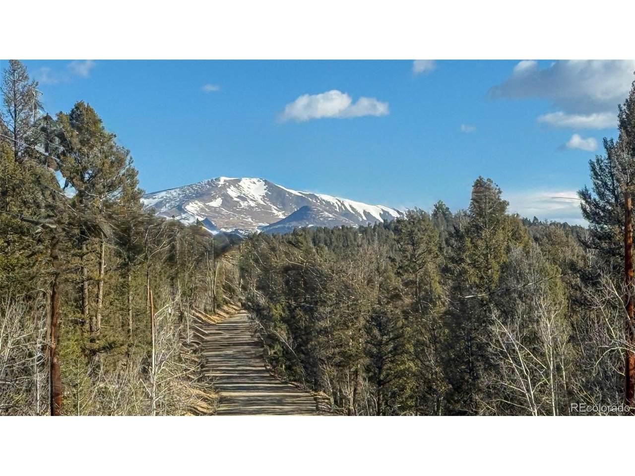 3132 Middle Fork Vis - Photo 1
