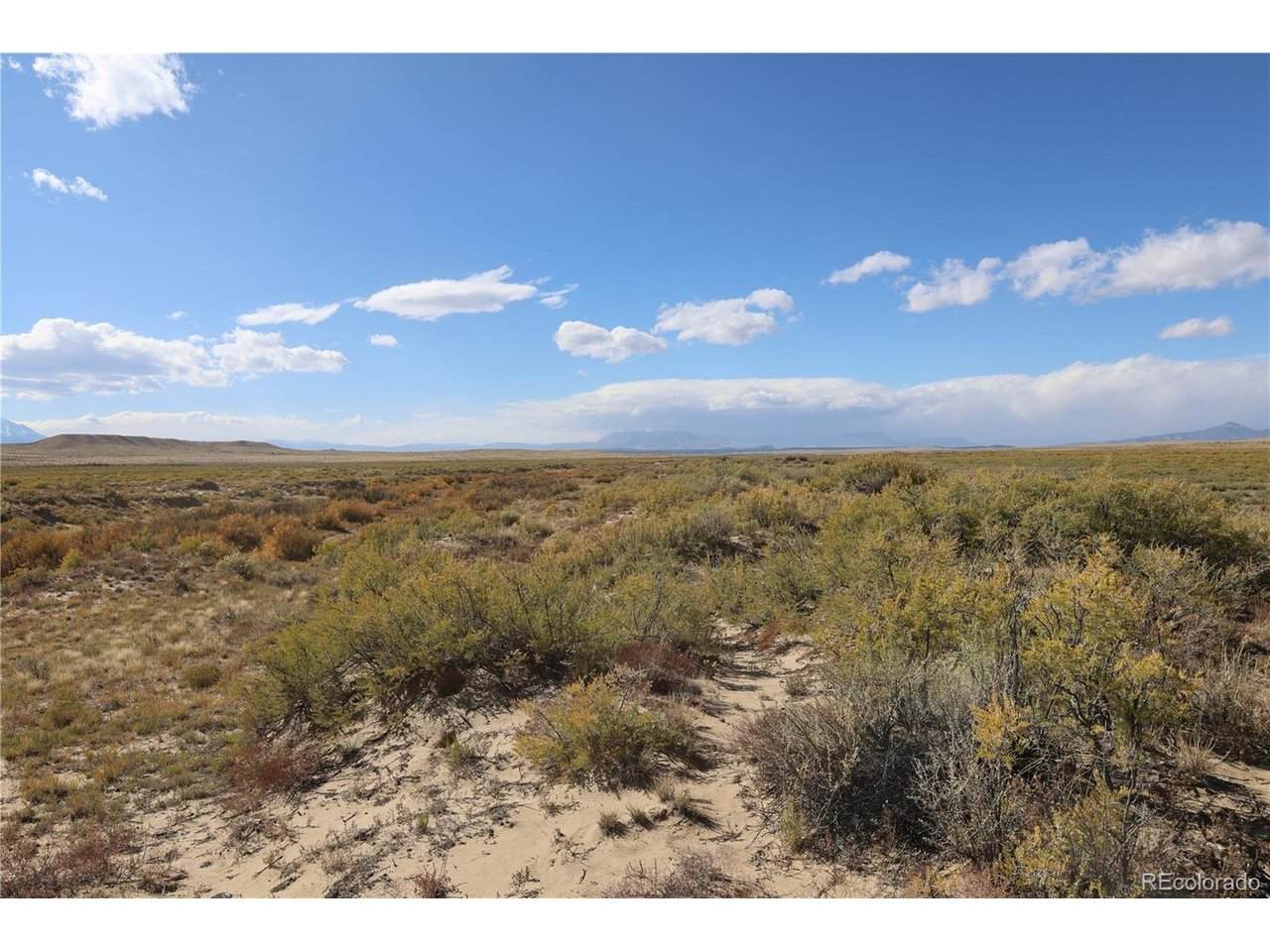  Homestead Loop - Photo 1
