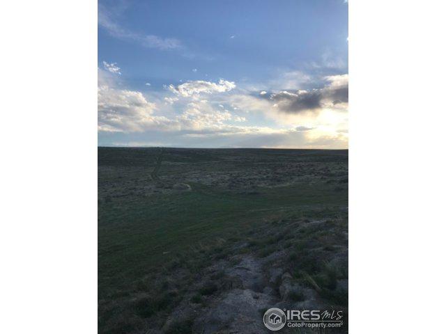 0 County Road 104 - Photo 1