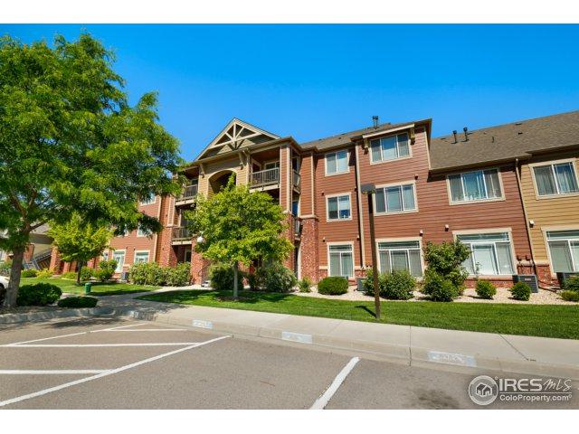 804 Summer Hawk Dr - Photo 1