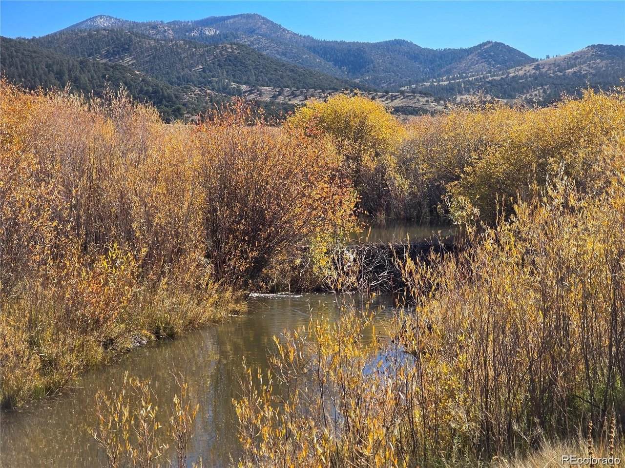 7542 Indian Creek Rd - Photo 1