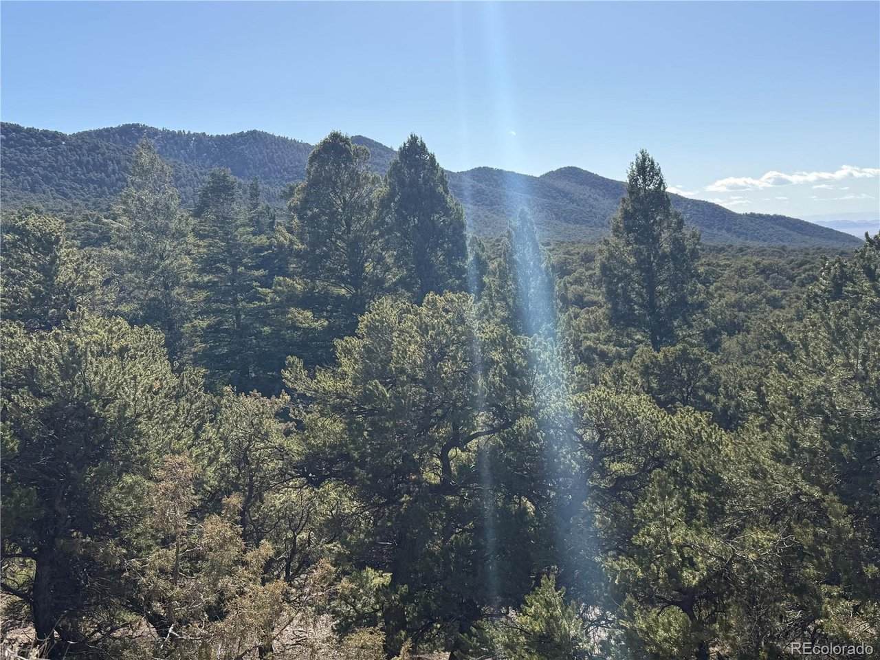 2045 Pfotenhaur Rd - Photo 1
