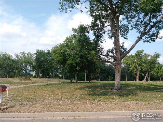 401 3rd Ave - Photo 1