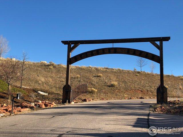 10548 Buckhorn Ridge Way - Photo 1