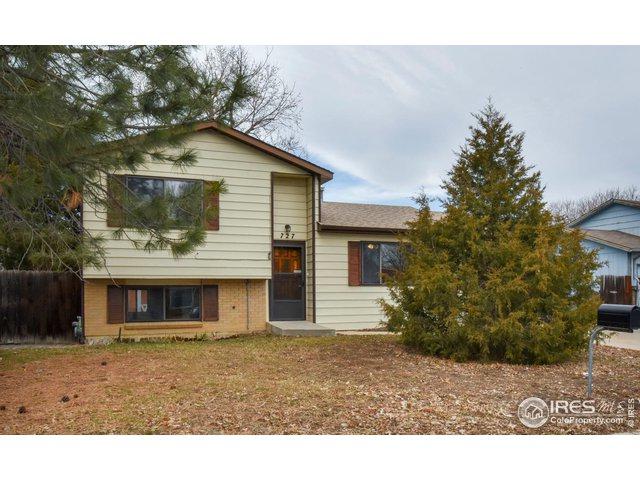 727 Mount Evans St - Photo 1