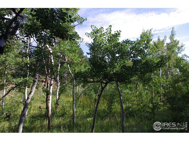 0 Columbine Dr - Photo 1
