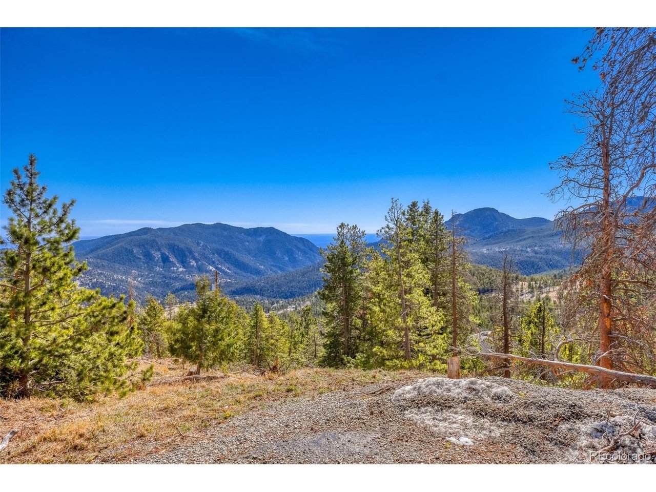 33149 Janelle Cir - Photo 1
