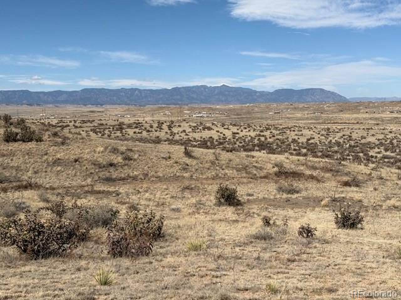 5225 Salt Cedar Rd - Photo 1